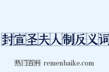 封宣圣夫人制反义词是什么意思的图片